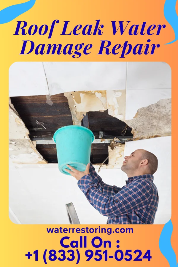 Roof Leak Water Damage Repair in Azalea Park, FL